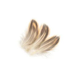 Poseidon Peute Veren